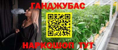 эйфоретик Малгобек
