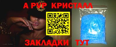 эйфоретик Малгобек