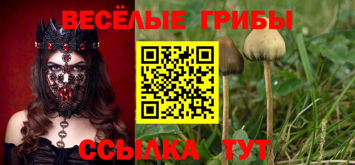 Галлюциногенные грибы ЛСД Ставрополь