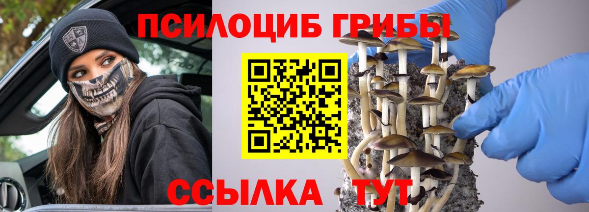 Псилоцибиновые грибы MAGIC MUSHROOMS  Вход с VPN  Псилоцибиновые грибы Magic Shrooms  Ставрополь 